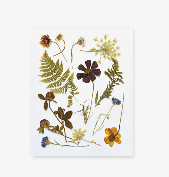 Pressed Wildflower Art Print