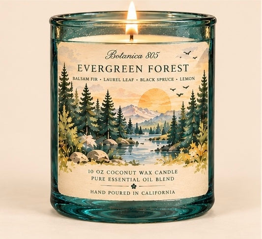 Evergreen Forest Candle | 10 oz