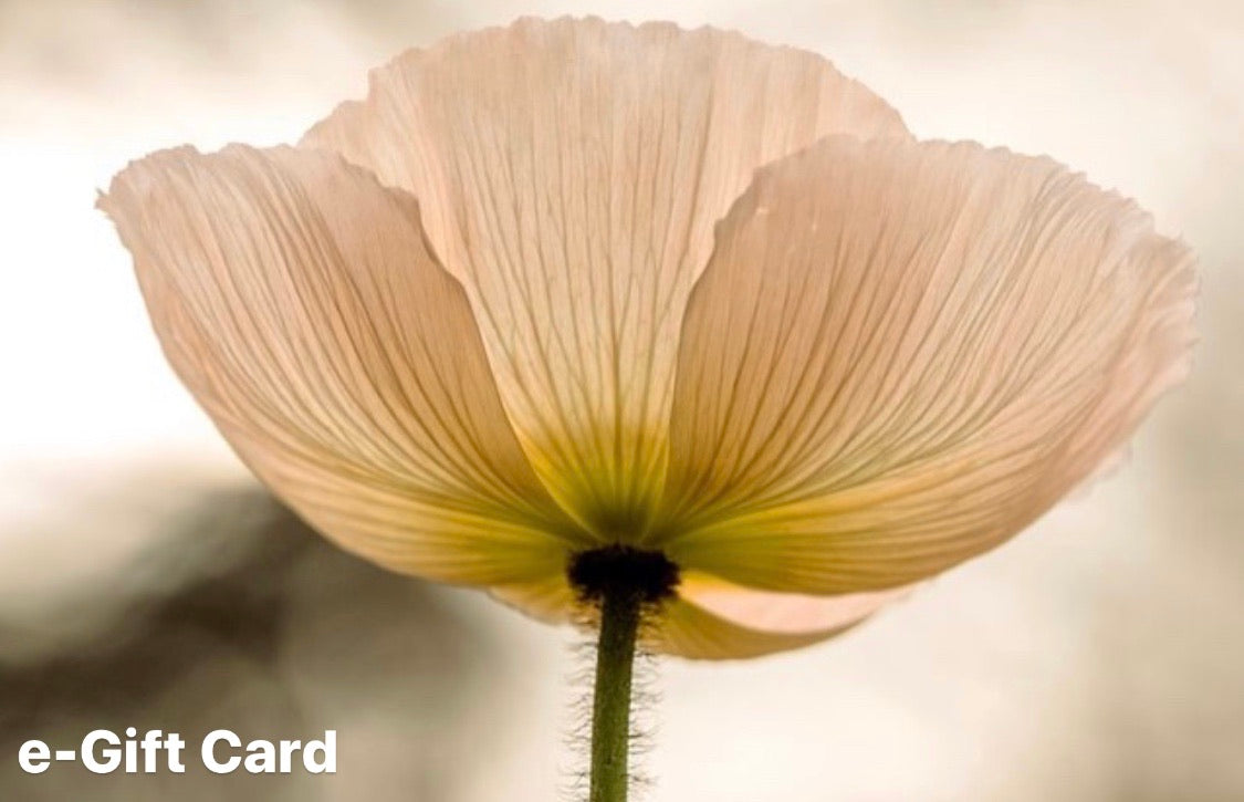 e-Gift Card
