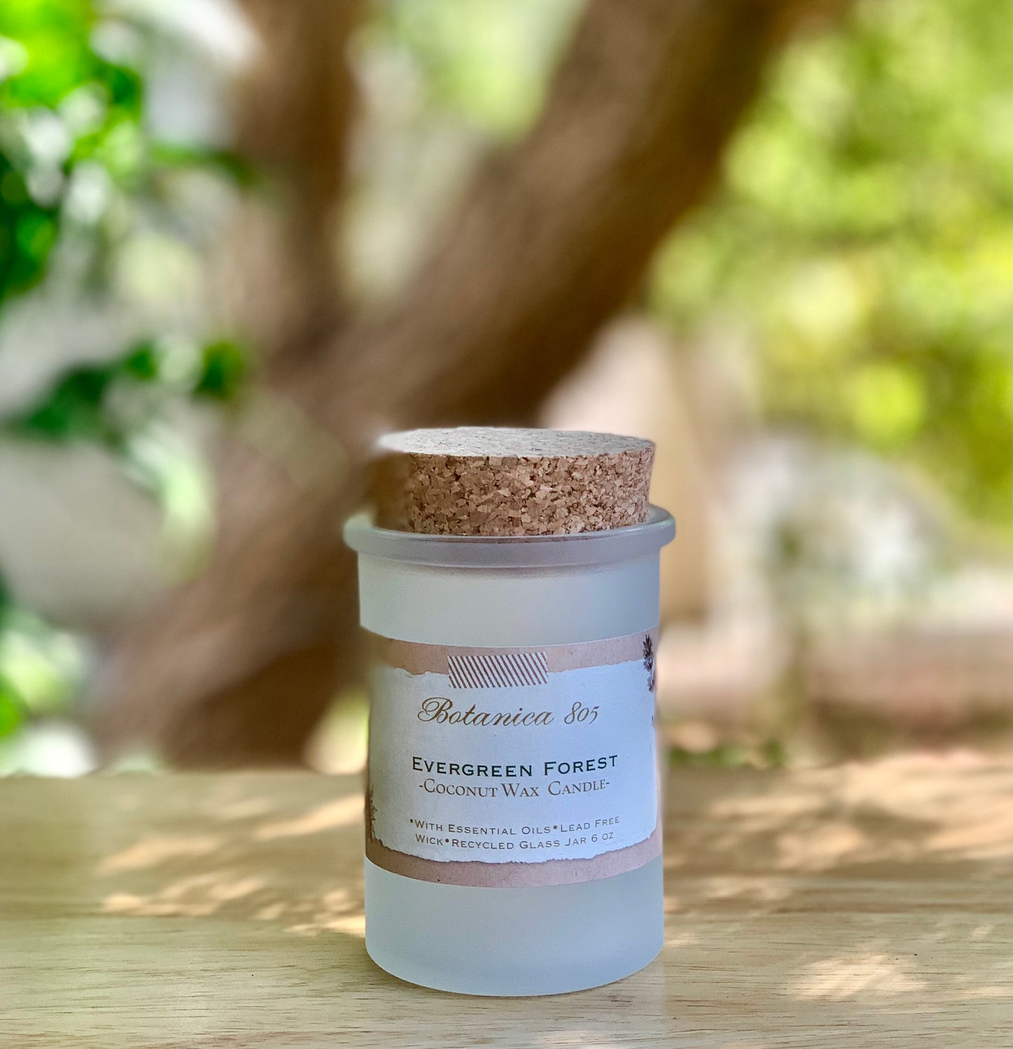 Evergreen Forest | 6 oz Candle